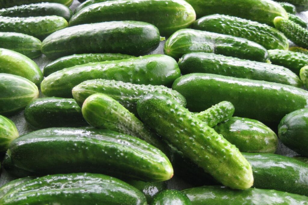 Top 10 Easy & Healthy Vegetable in the Garden: Delicious Picks for Your Home